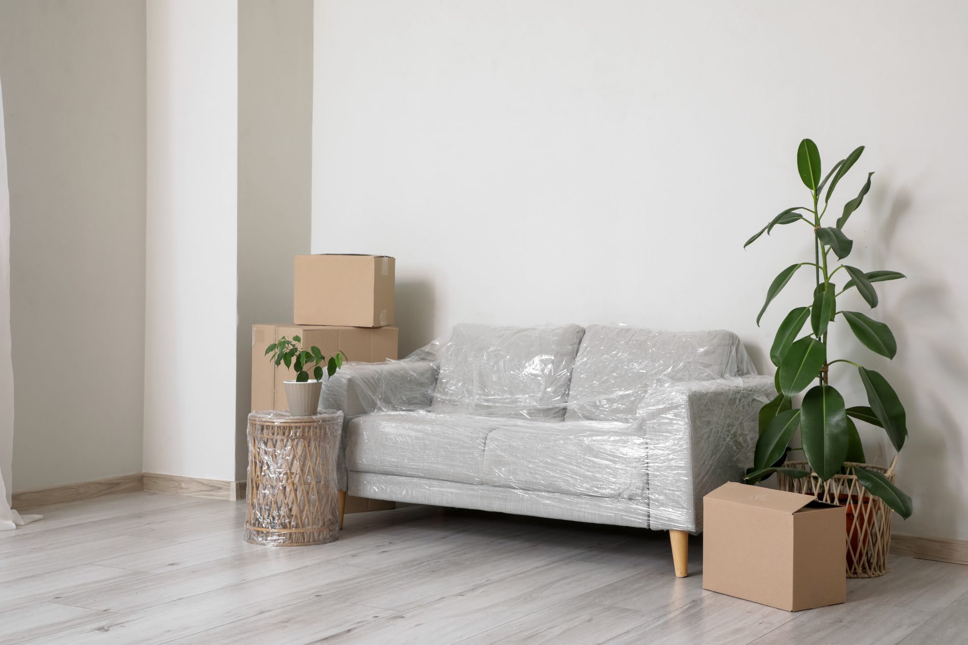 Umzugs- oder Einzugsszene mit eingepacktem Sofa, Kartons und Zimmerpflanzen in einem hellen Raum